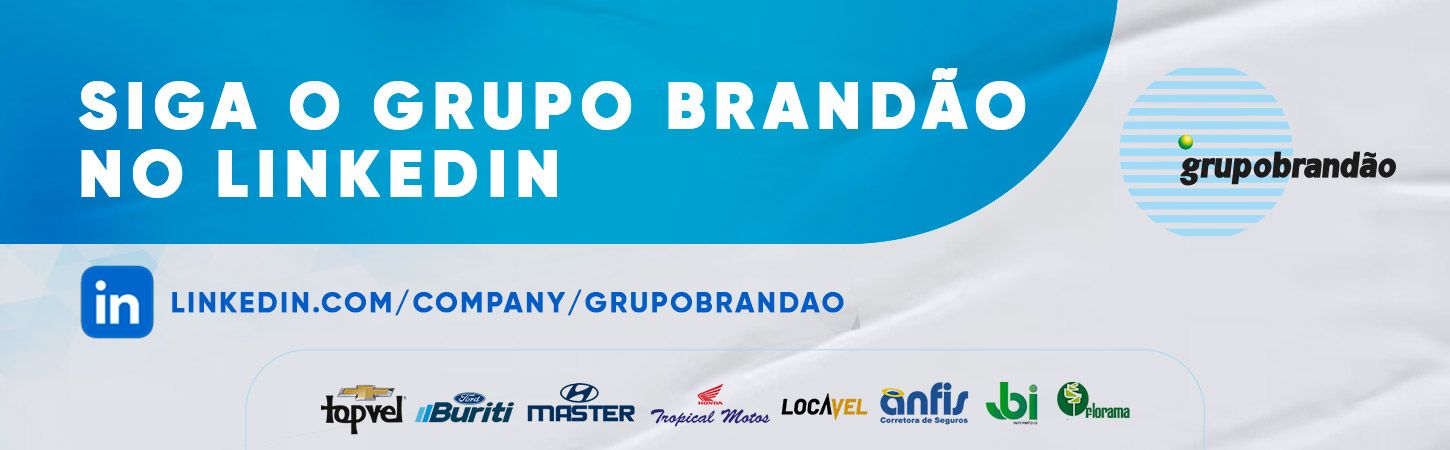 Linkedin - Grupo Brandão